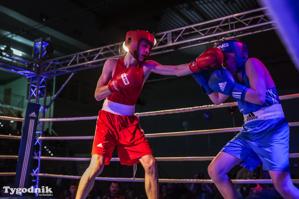 IV Tucholski Boxing Show