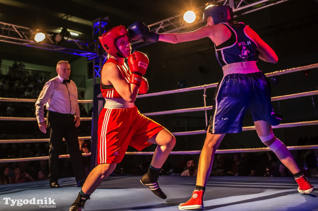 IV Tucholski Boxing Show