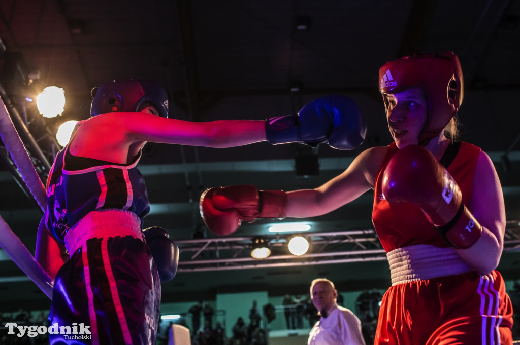 IV Tucholski Boxing Show