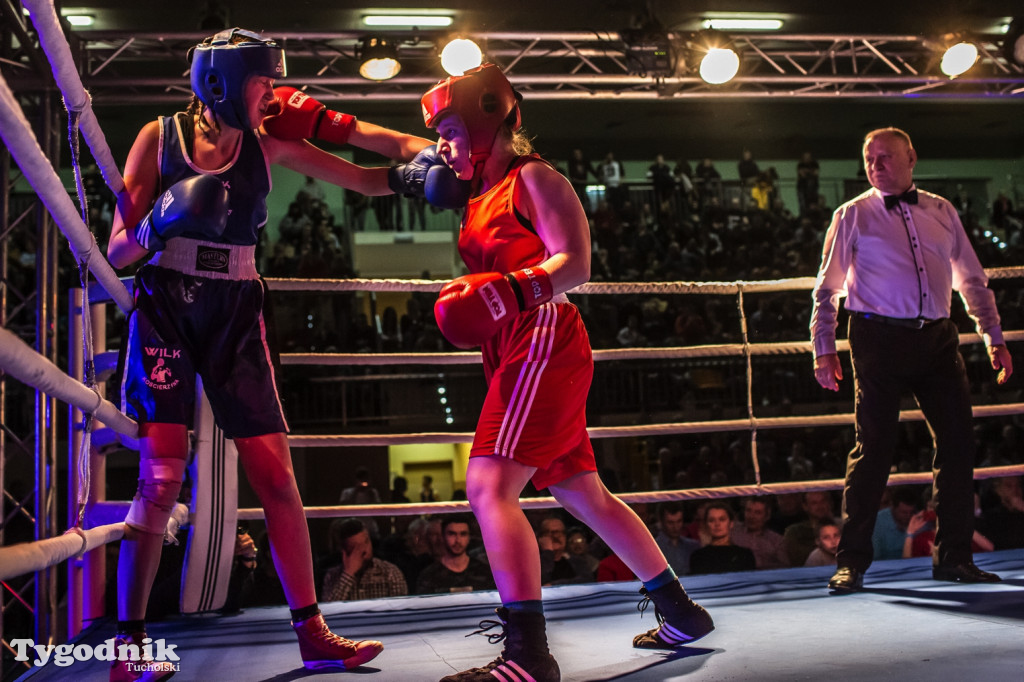 IV Tucholski Boxing Show