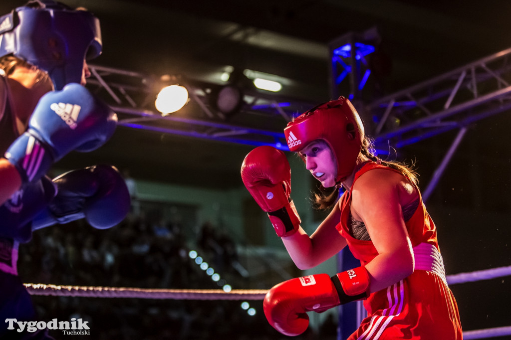 IV Tucholski Boxing Show