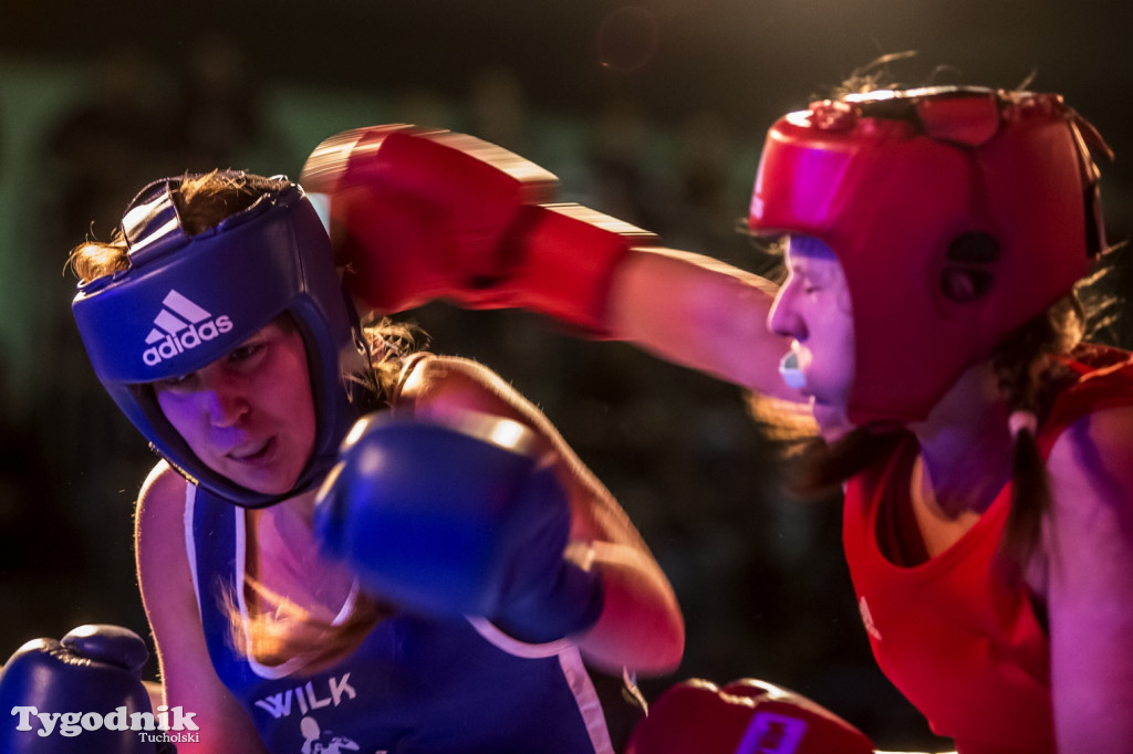 IV Tucholski Boxing Show