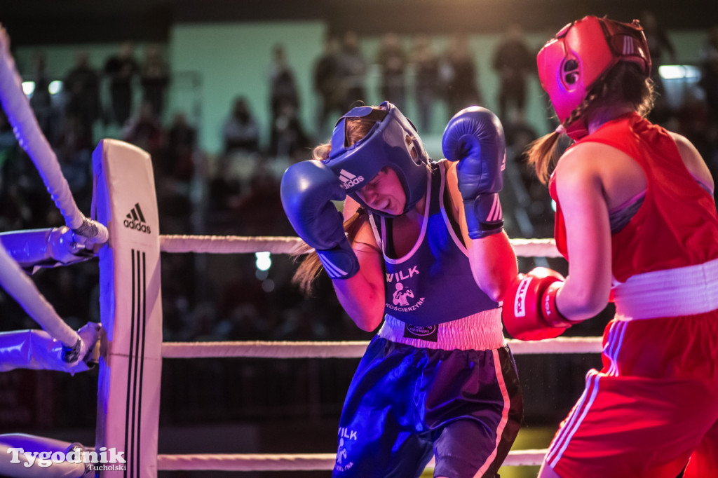 IV Tucholski Boxing Show