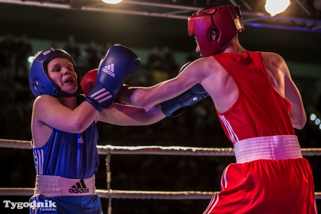 IV Tucholski Boxing Show