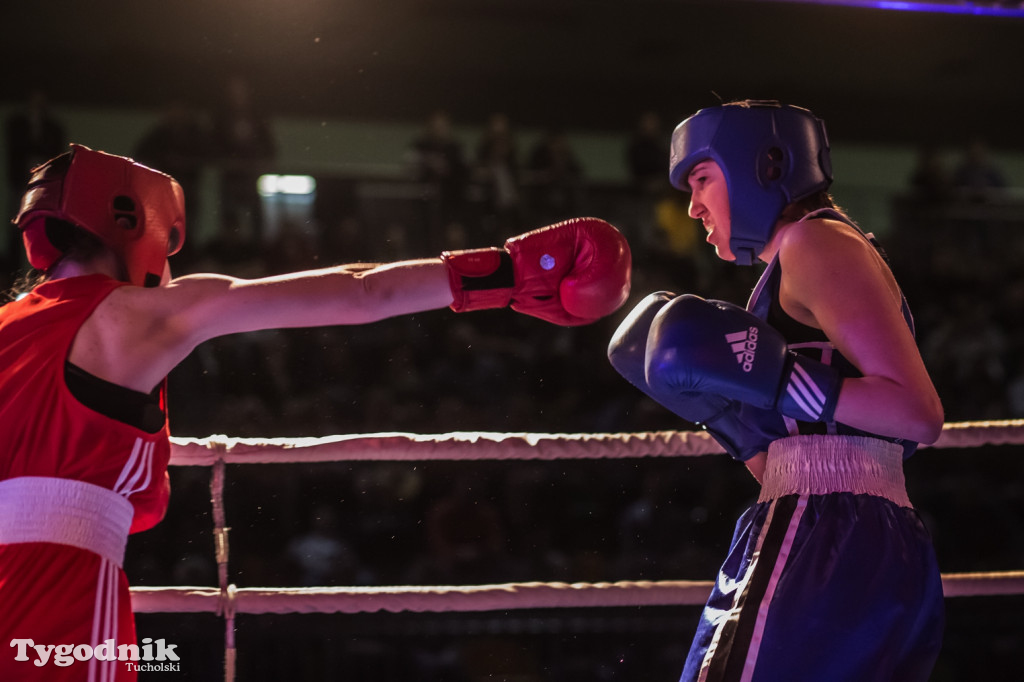 IV Tucholski Boxing Show