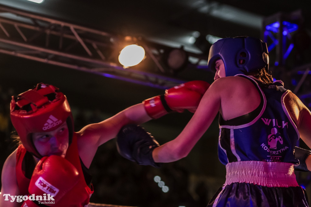 IV Tucholski Boxing Show