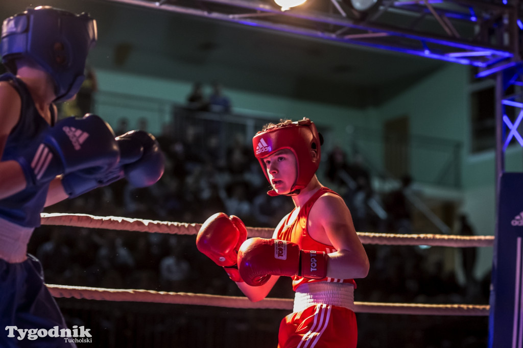 IV Tucholski Boxing Show