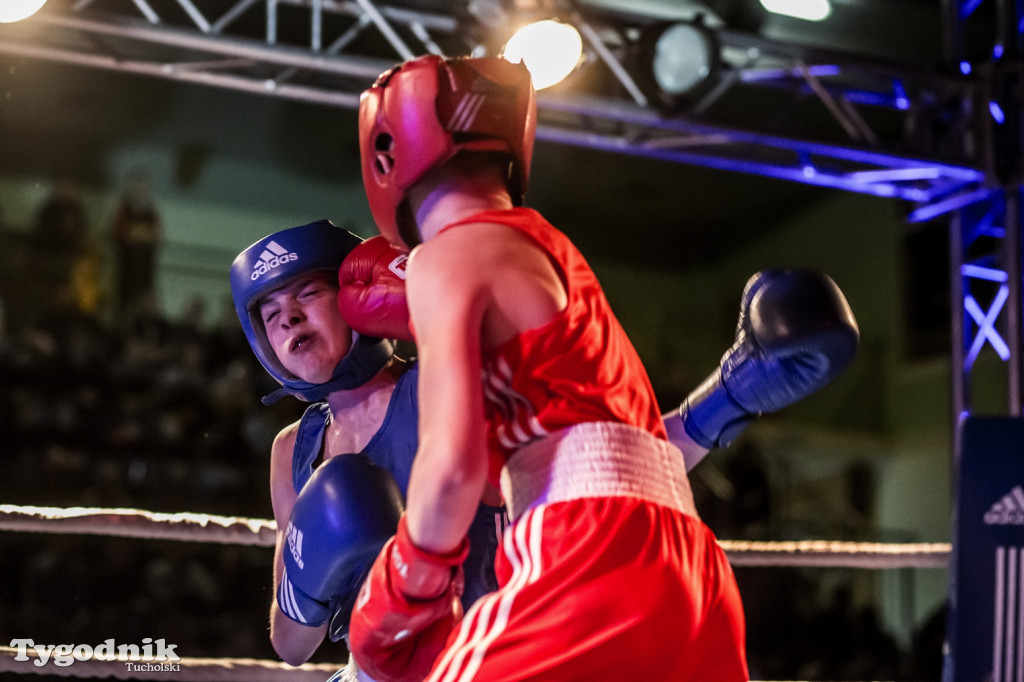 IV Tucholski Boxing Show