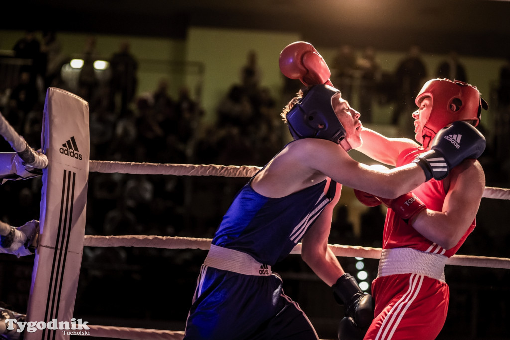 IV Tucholski Boxing Show