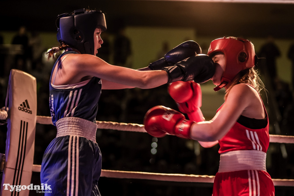 IV Tucholski Boxing Show