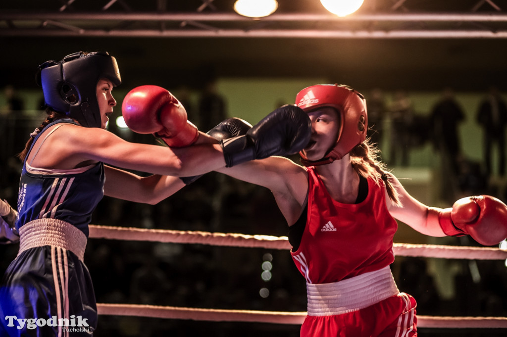 IV Tucholski Boxing Show