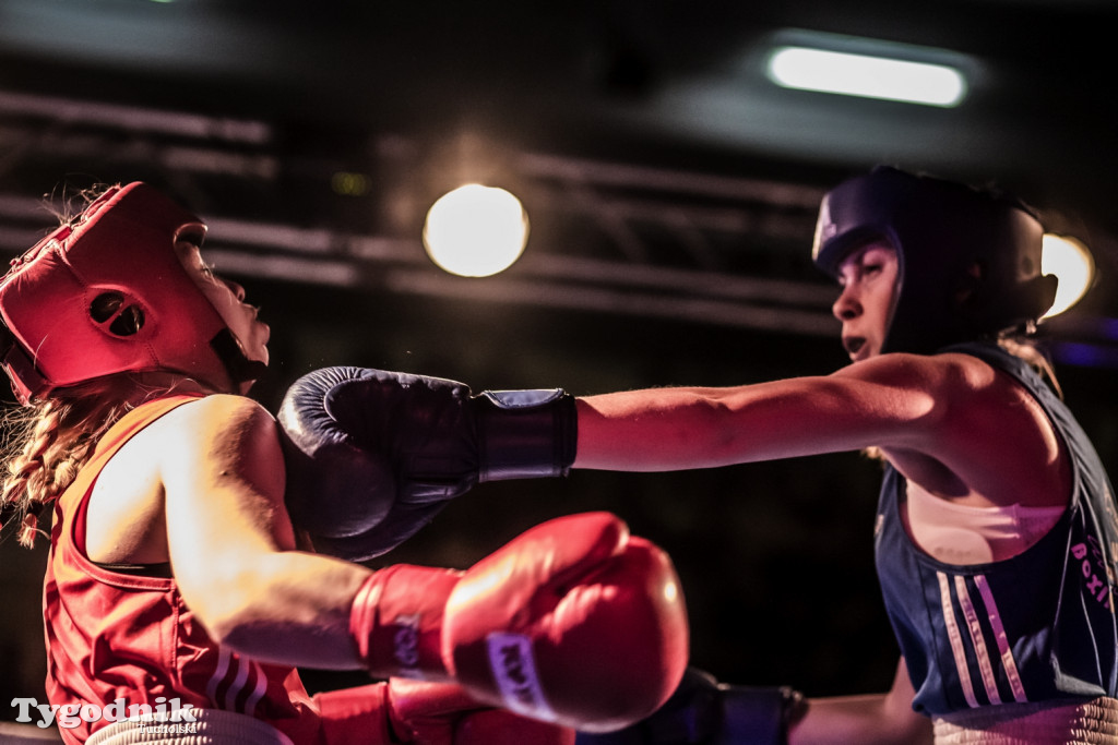 IV Tucholski Boxing Show