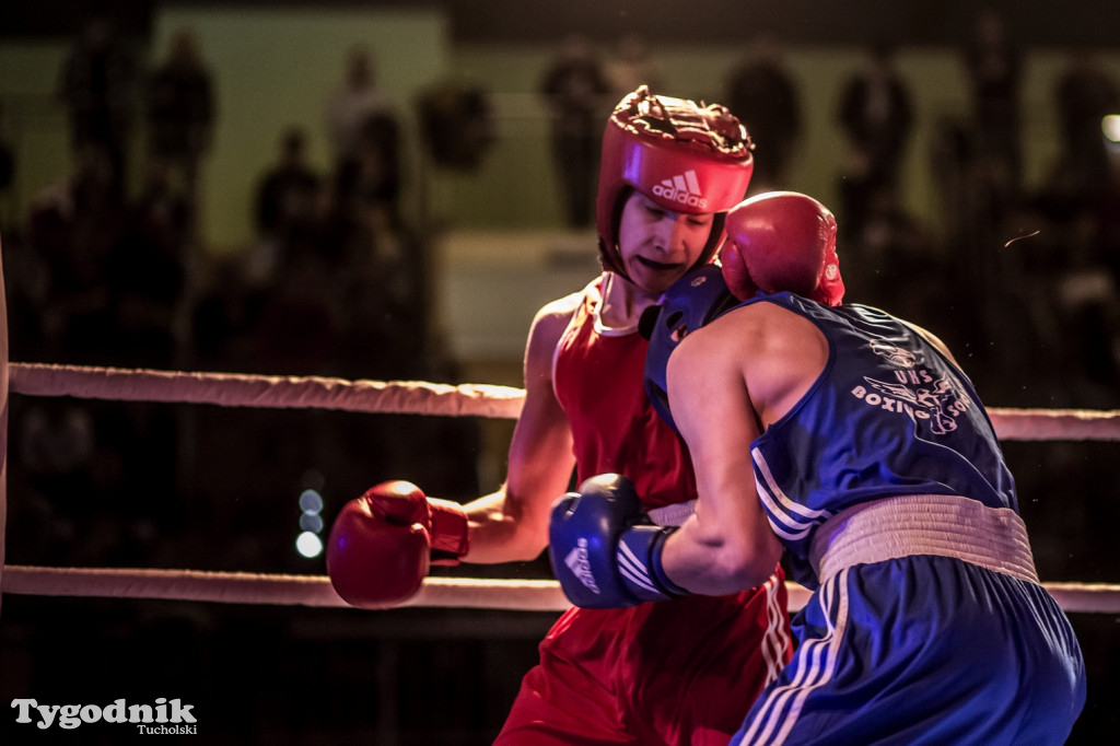 IV Tucholski Boxing Show