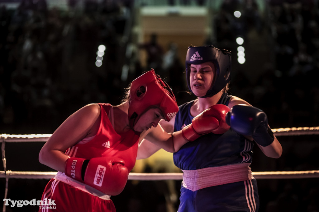 IV Tucholski Boxing Show