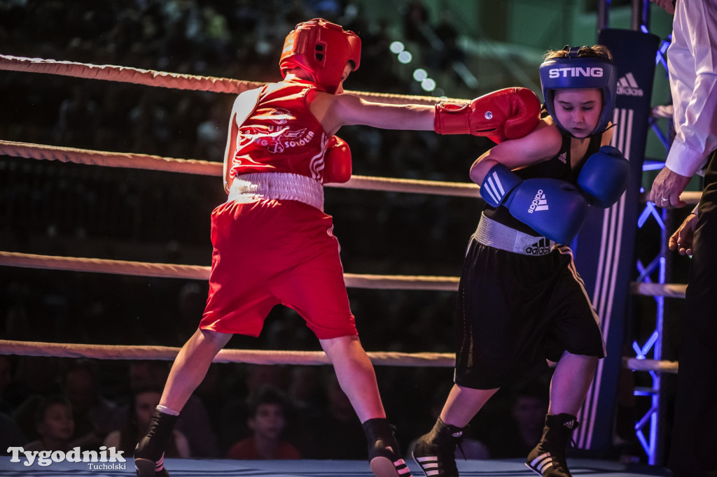 IV Tucholski Boxing Show