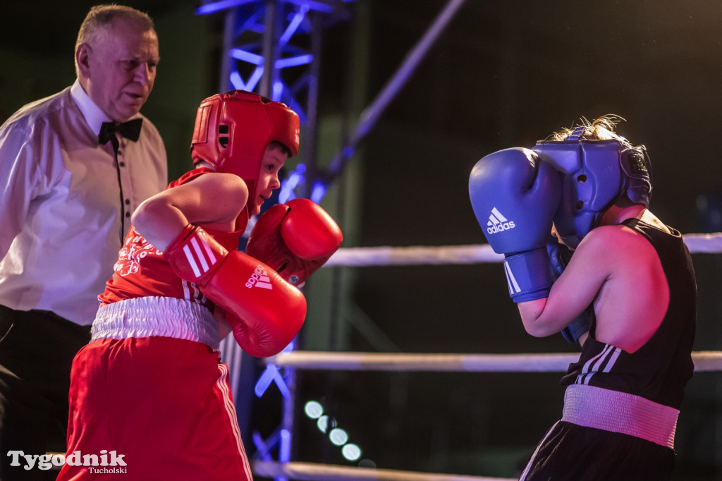 IV Tucholski Boxing Show
