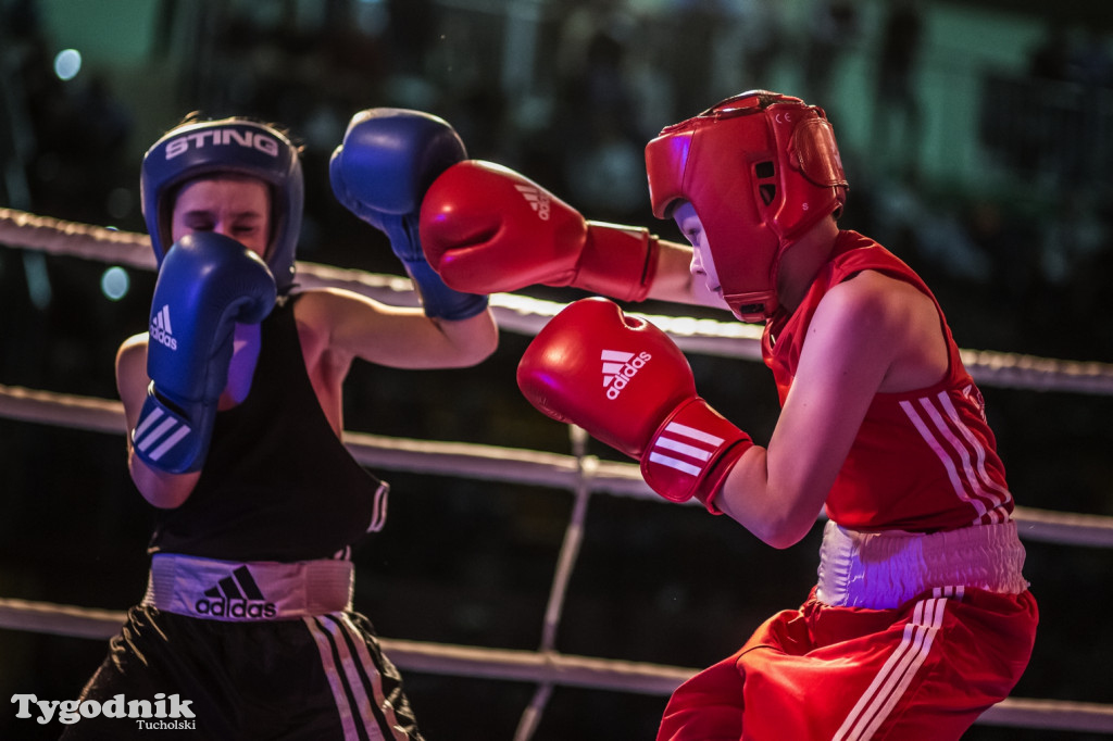 IV Tucholski Boxing Show
