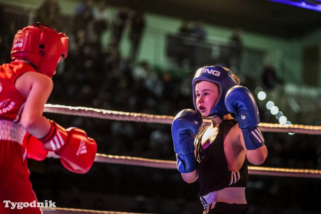 IV Tucholski Boxing Show