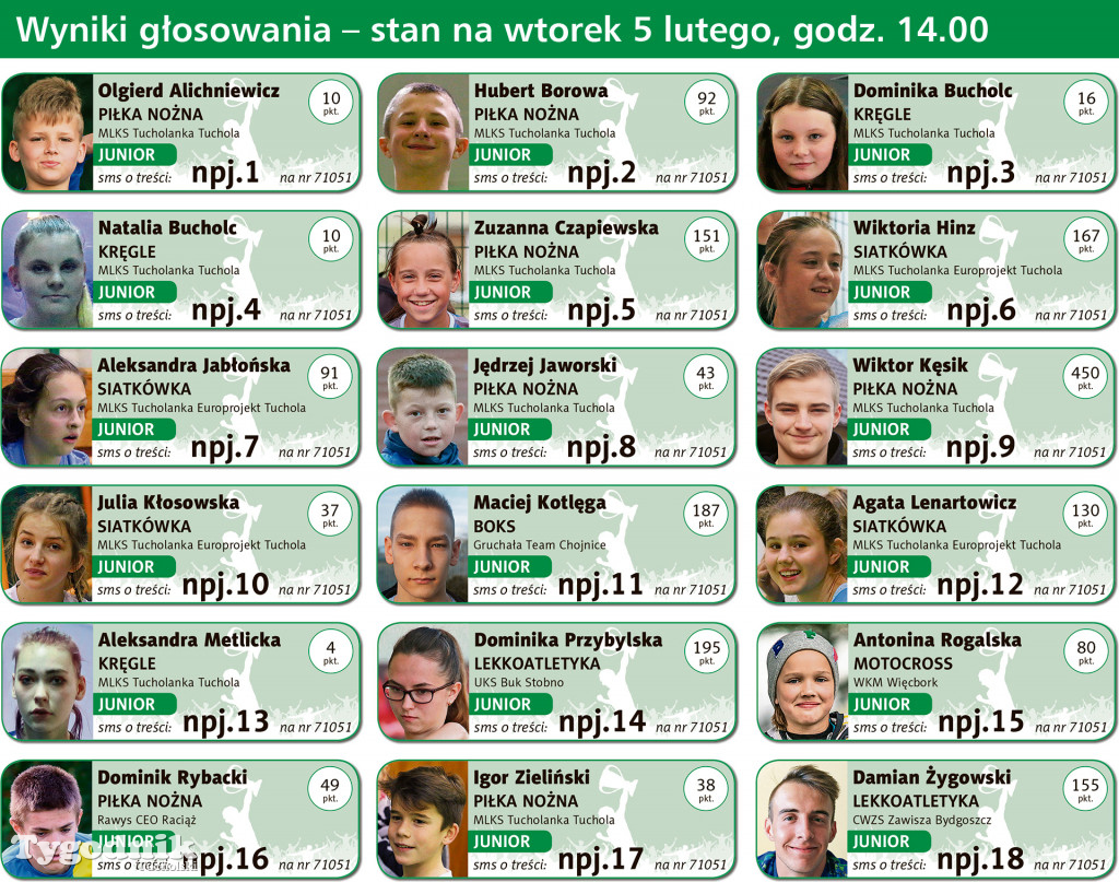 Wyniki plebiscytu z 5 lutego