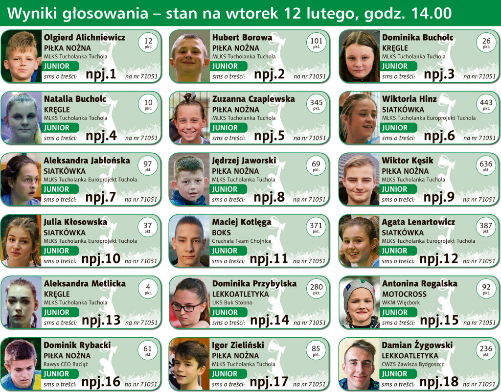 Wyniki plebiscytu z 12 lutego