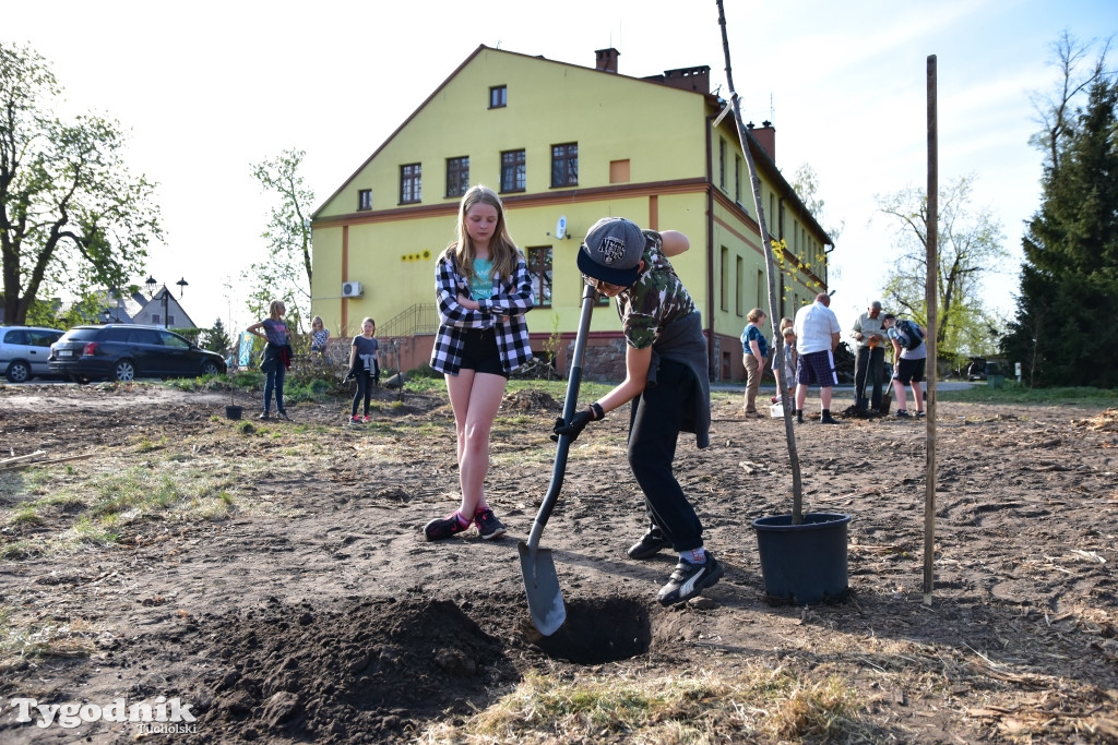 Odnawianie parku w Kęsowie