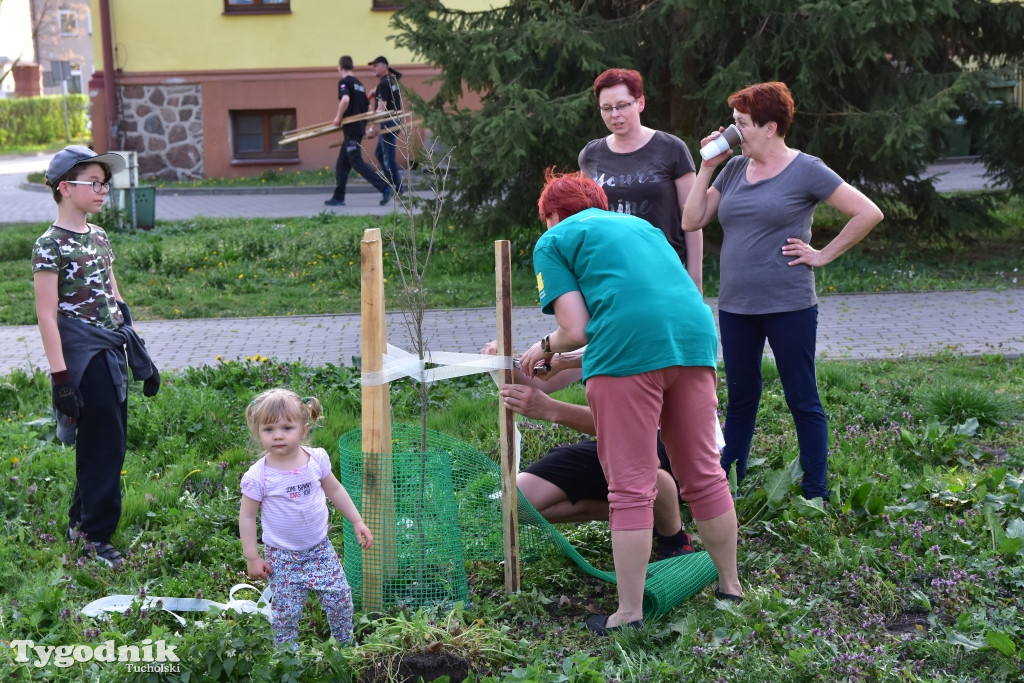 Odnawianie parku w Kęsowie