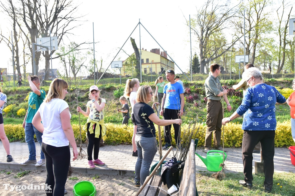 Odnawianie parku w Kęsowie
