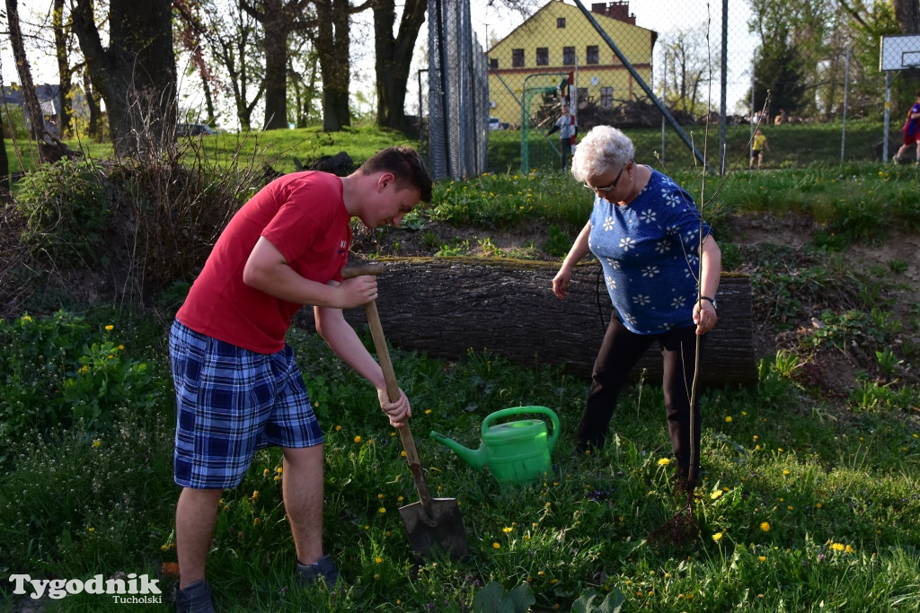 Odnawianie parku w Kęsowie