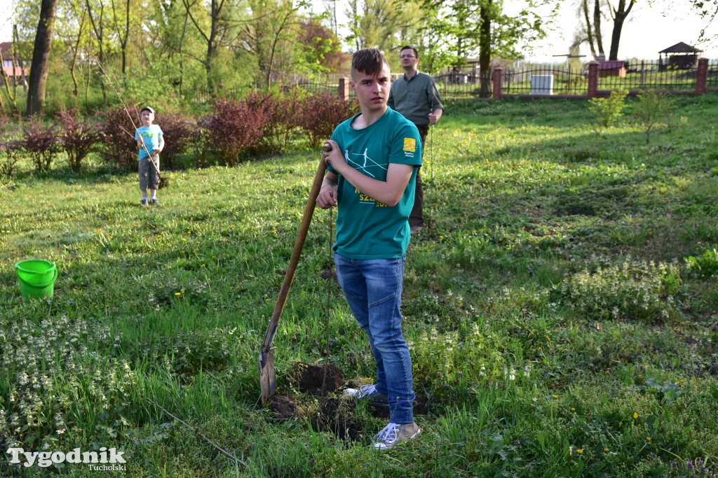 Odnawianie parku w Kęsowie