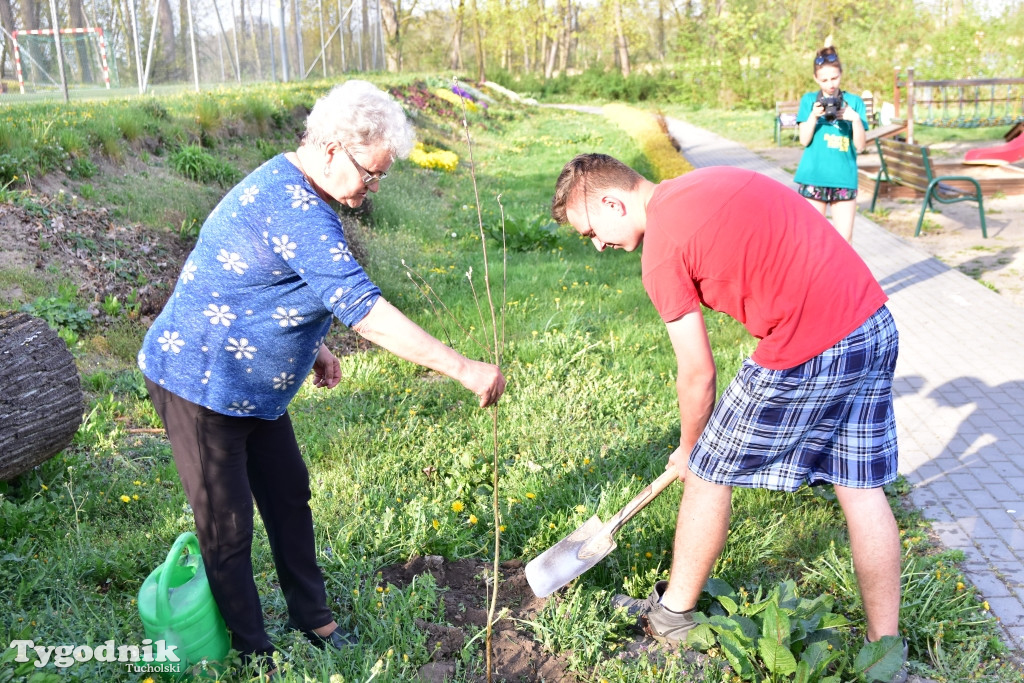 Odnawianie parku w Kęsowie