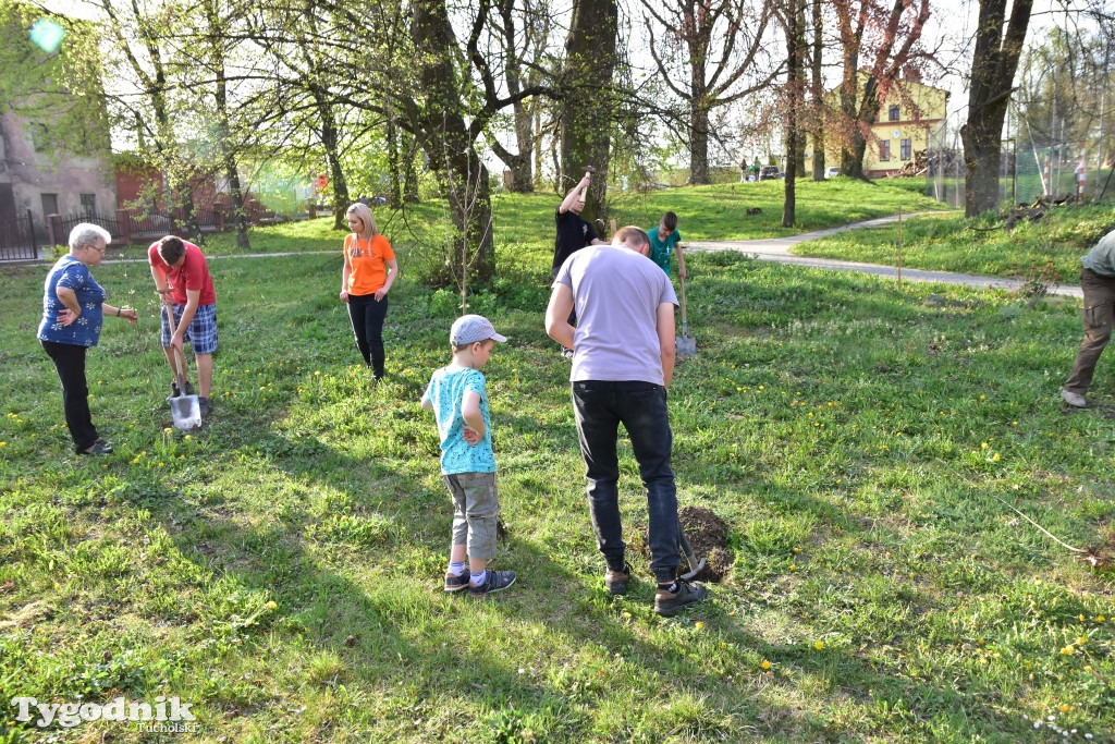 Odnawianie parku w Kęsowie