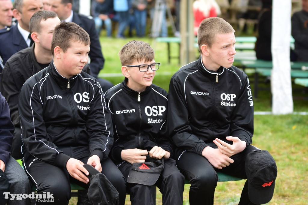 Dzień strażaka w Rosochatce