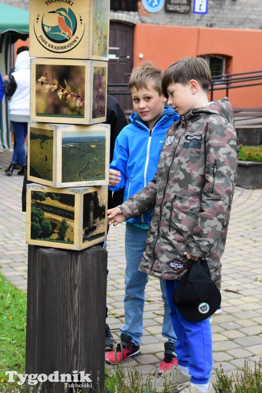 Dzień Niezapominajki