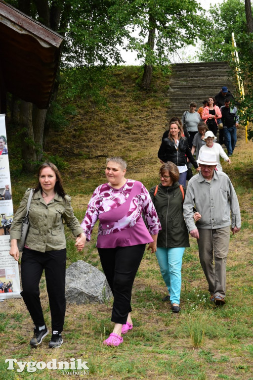 Marzenia jak ptaki