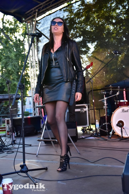 Tina Turner Show