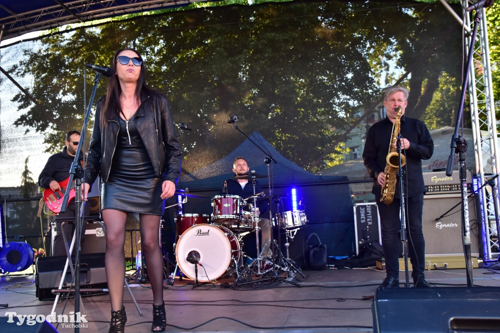 Tina Turner Show