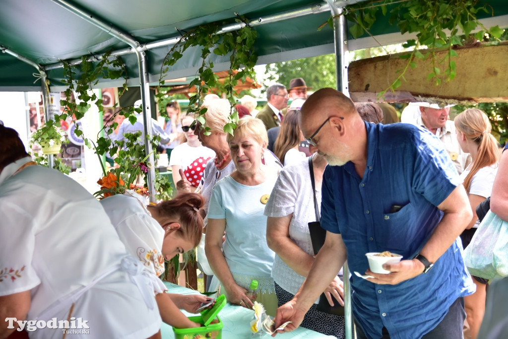 #JestemzBorów: pochód i dzień folkloru