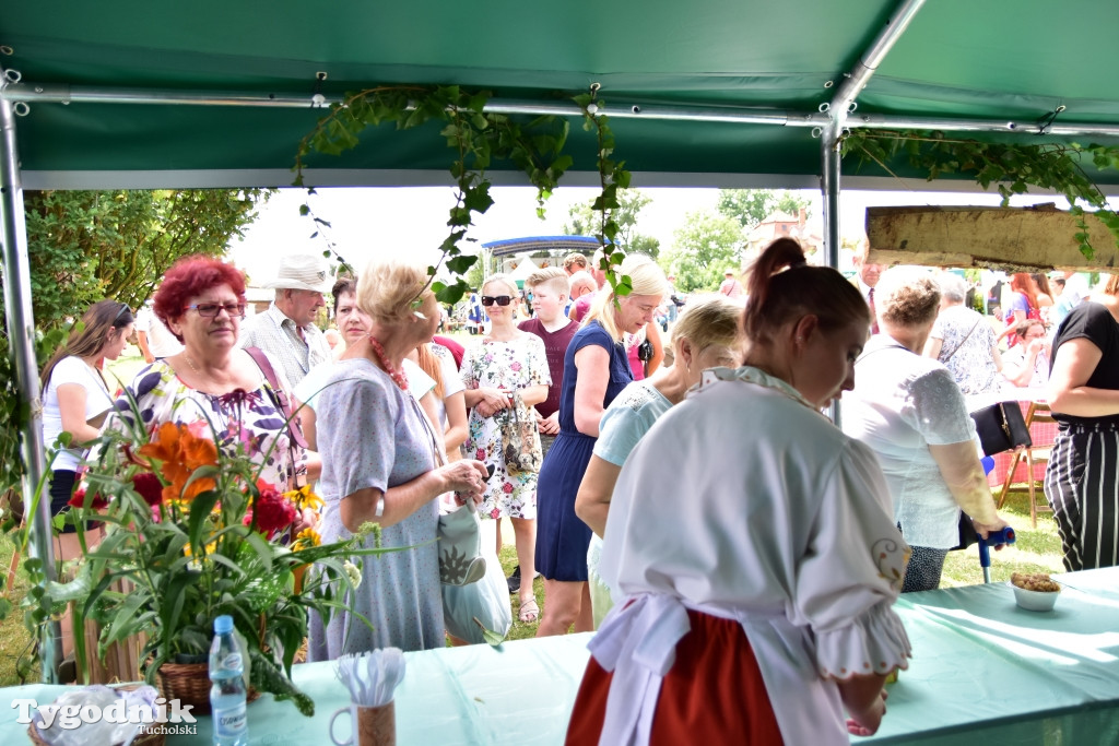 #JestemzBorów: pochód i dzień folkloru