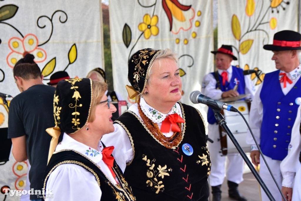 #JestemzBorów: pochód i dzień folkloru