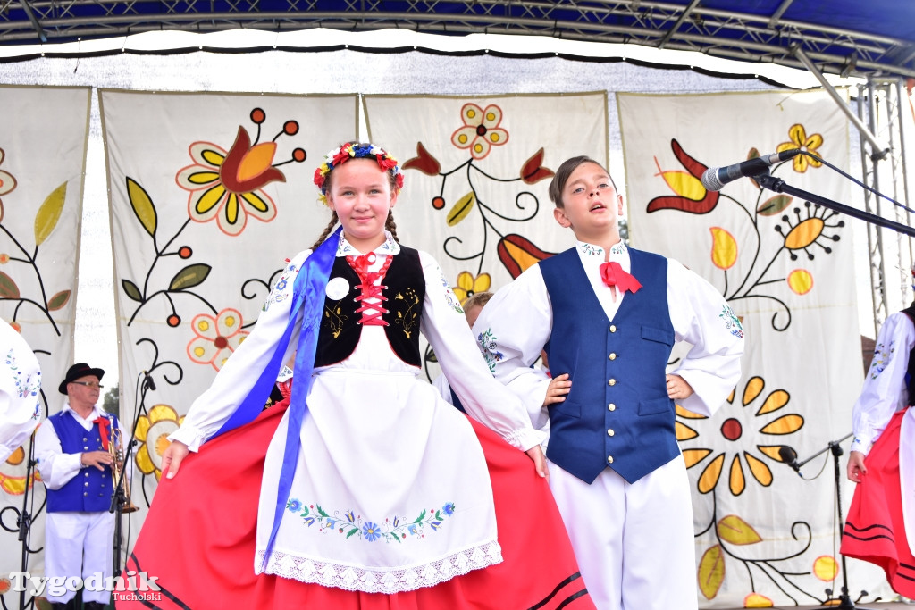 #JestemzBorów: pochód i dzień folkloru