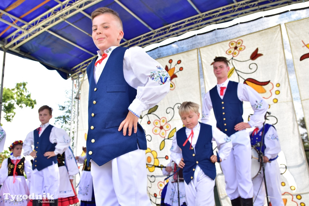 #JestemzBorów: pochód i dzień folkloru