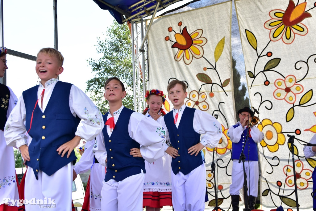 #JestemzBorów: pochód i dzień folkloru