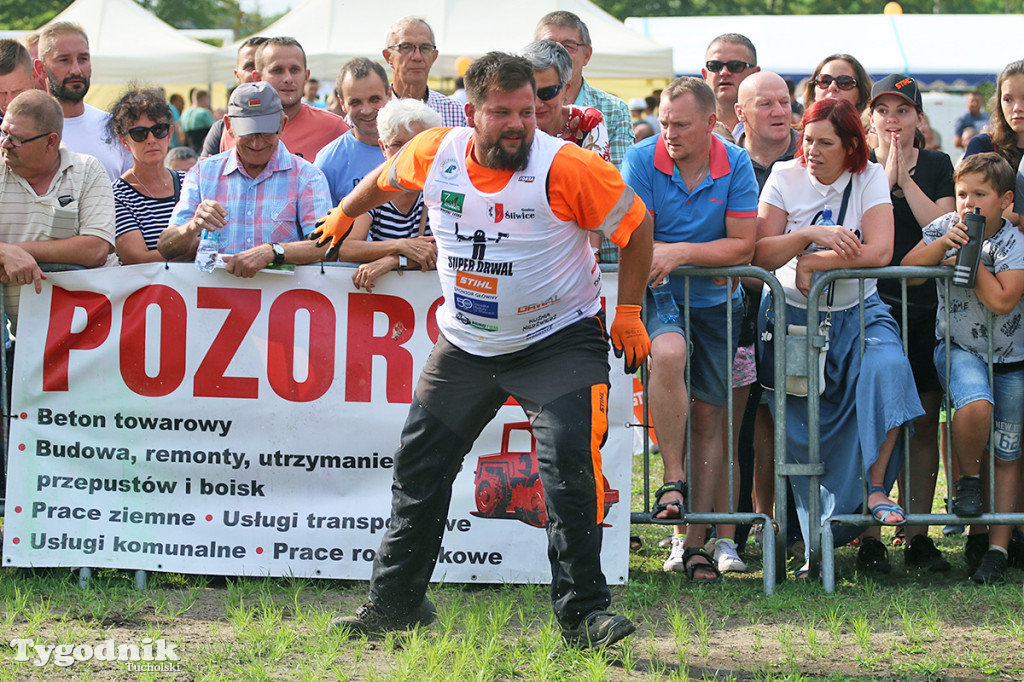 Super Drwal w Śliwicach