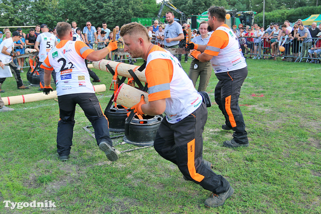Super Drwal w Śliwicach