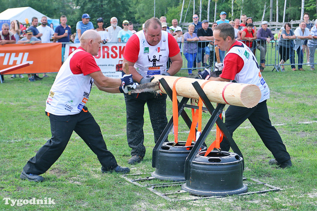 Super Drwal w Śliwicach