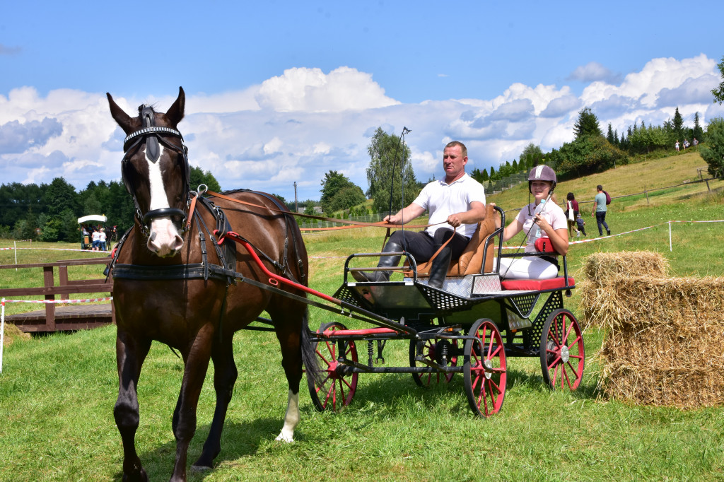 Śliwice: Piknik Koniarzy 2019