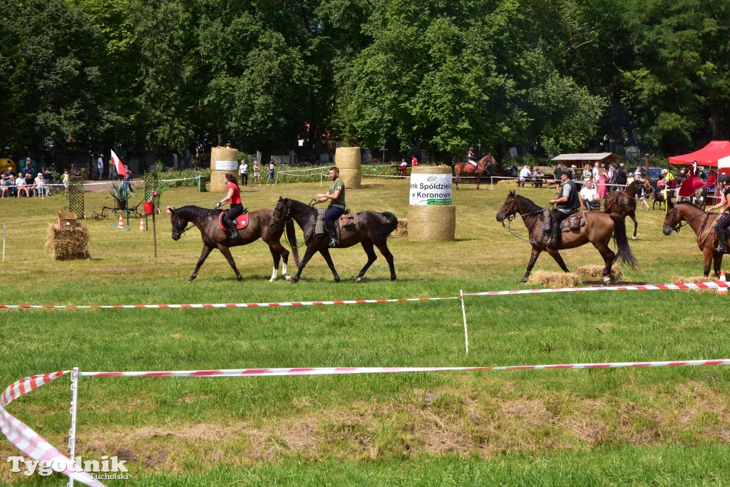 Śliwice: Piknik Koniarzy 2019