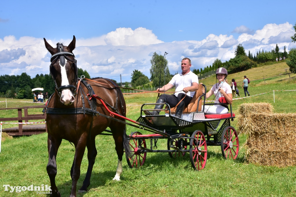 Śliwice: Piknik Koniarzy 2019