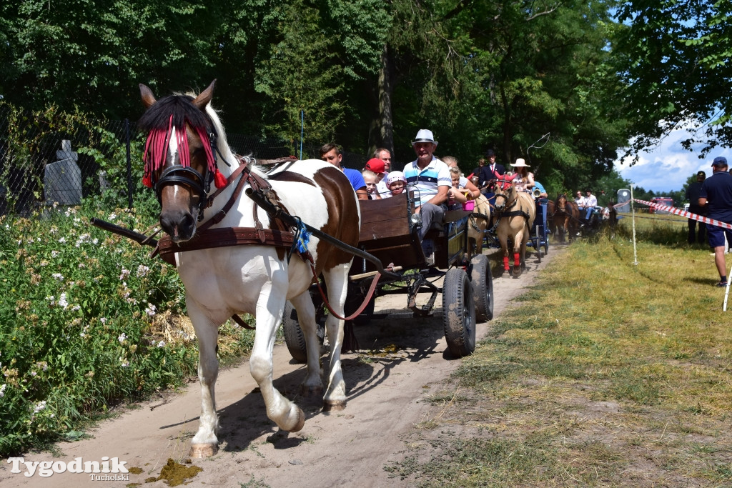 Śliwice: Piknik Koniarzy 2019