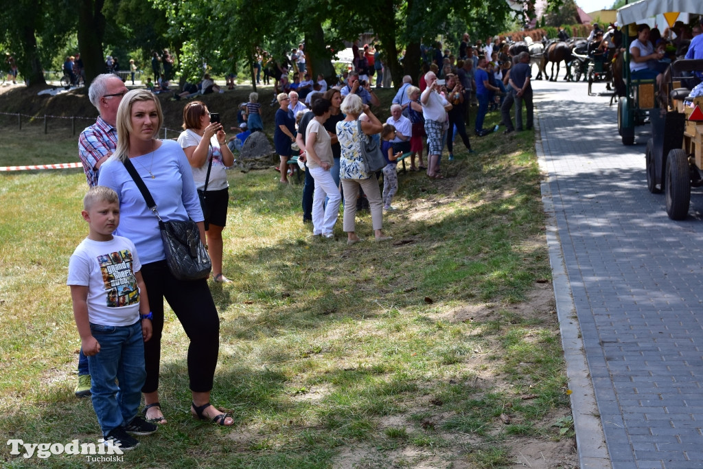 Śliwice: Piknik Koniarzy 2019